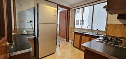 Parc Vista (D22), Condominium #555844451
